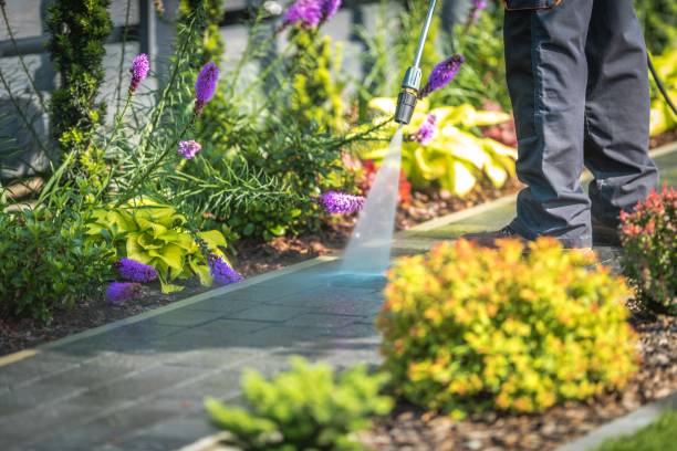 Best Patio and Deck Pressure Washing  in Mangonia Park, FL
