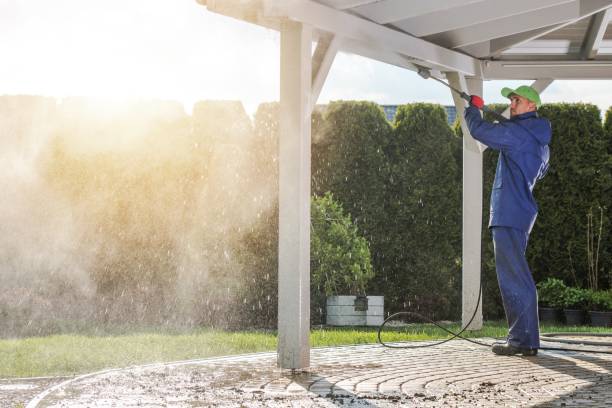 Professional Pressure Washing Services in Mangonia Park, FL