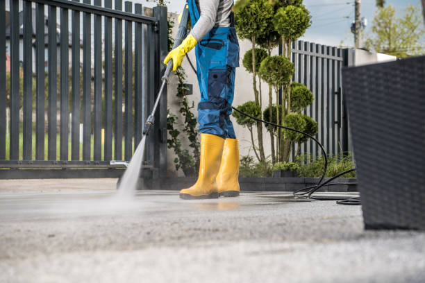 Best Roof Washing  in Mangonia Park, FL